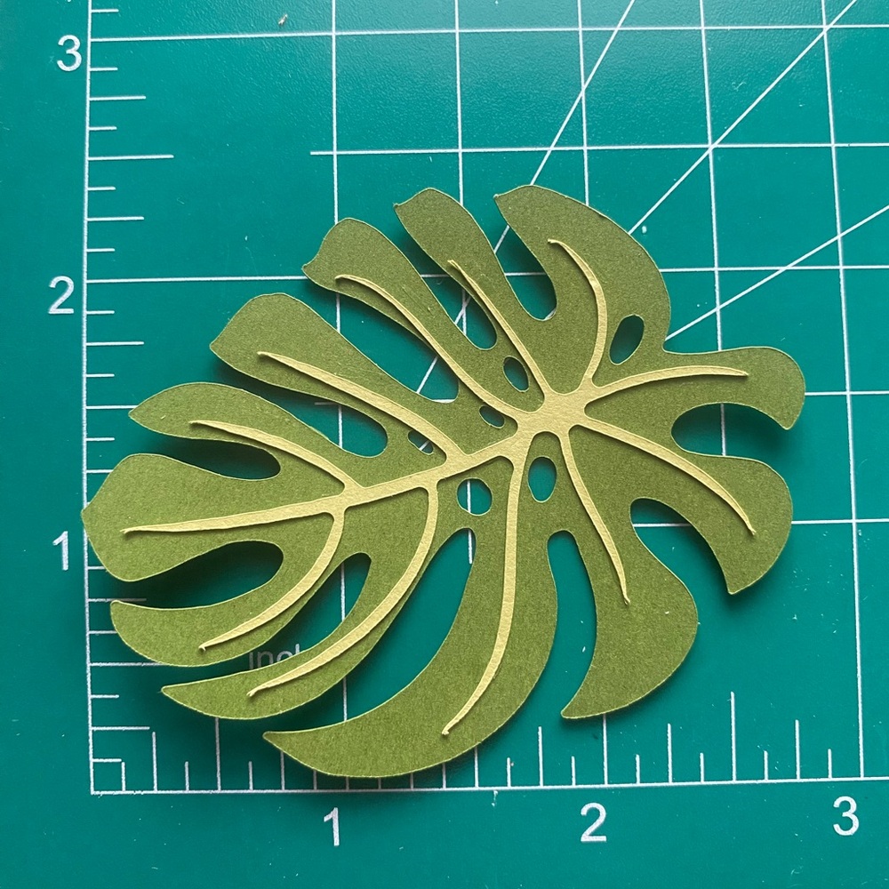 3D Magnet Monstera Tropical Leaf